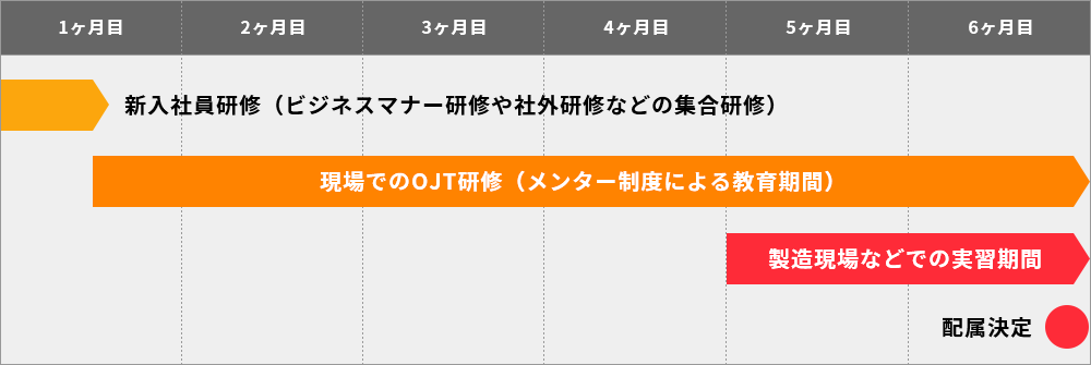 入社から約半年間の研修スケジュール